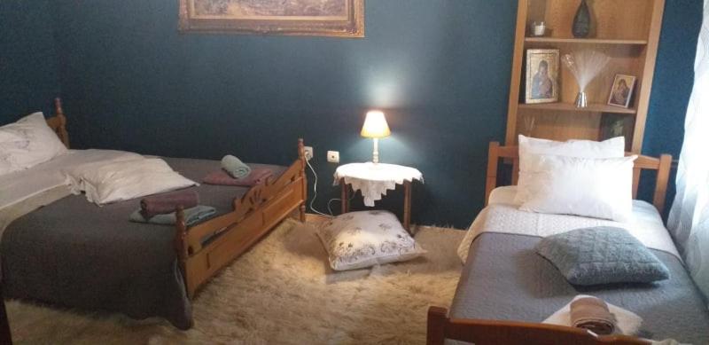 Elena'S Villa Χρυσομηλιά Εξωτερικό φωτογραφία