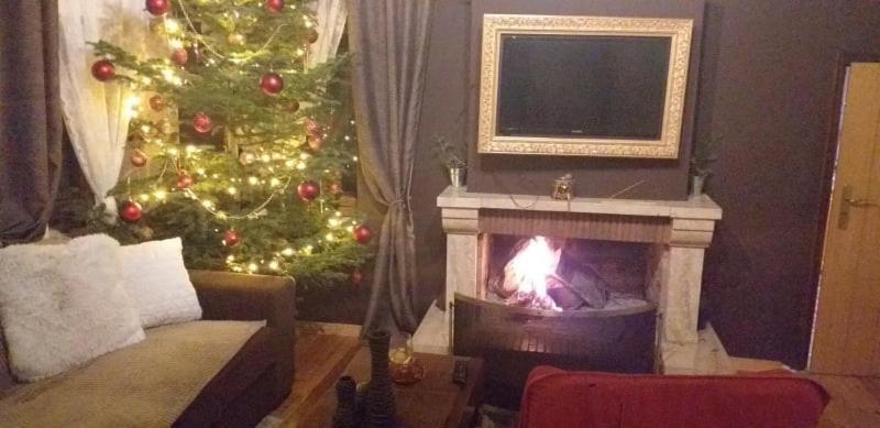 Elena'S Villa Χρυσομηλιά Εξωτερικό φωτογραφία
