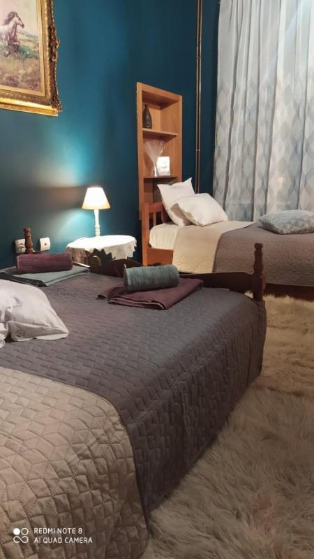 Elena'S Villa Χρυσομηλιά Εξωτερικό φωτογραφία