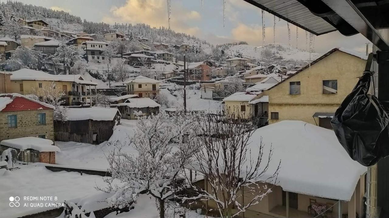 Elena'S Villa Χρυσομηλιά Εξωτερικό φωτογραφία