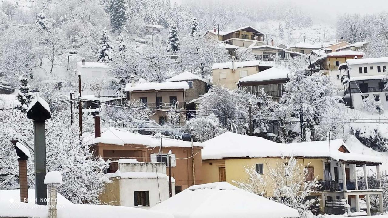Elena'S Villa Χρυσομηλιά Εξωτερικό φωτογραφία