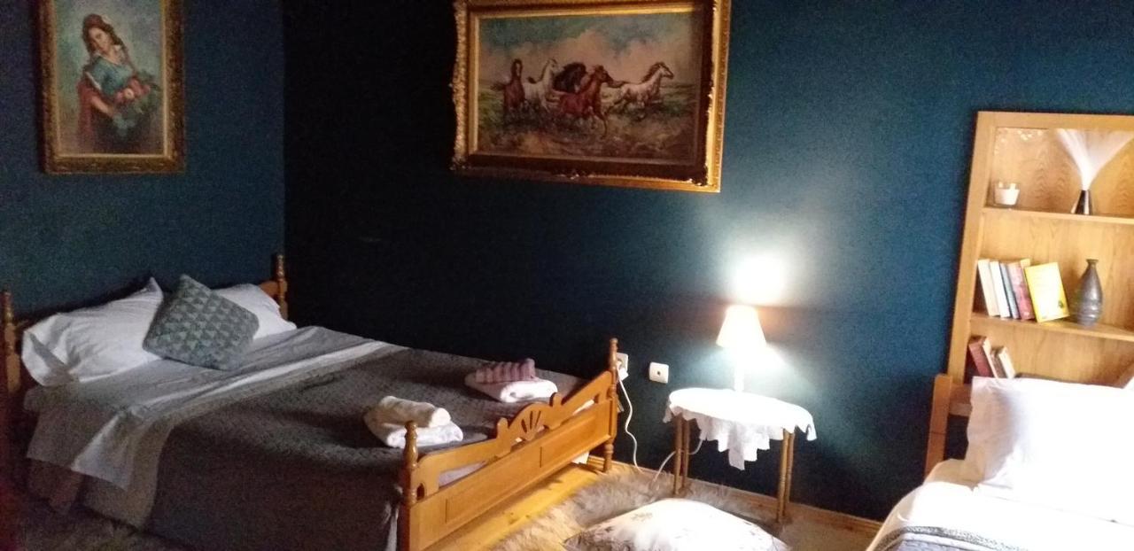 Elena'S Villa Χρυσομηλιά Εξωτερικό φωτογραφία