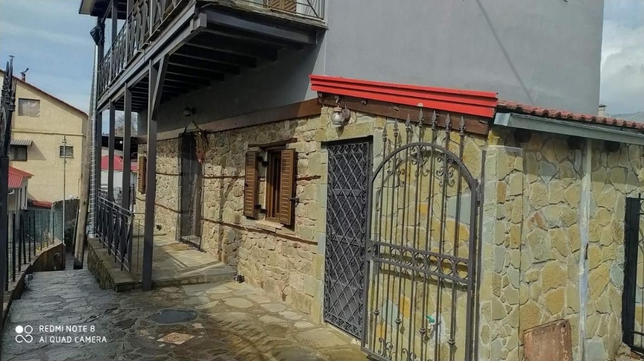 Elena'S Villa Χρυσομηλιά Εξωτερικό φωτογραφία